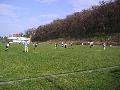 A jv tehetsgei Markovics Lacibcsival
